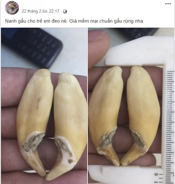 "Buôn[-]bán[-]động[-]vật[-]hoang[-]dã[-]trên[-]mạng[-]Internet[-]–[-]Đã[-]không[-]còn[-]an[-]toàn!"